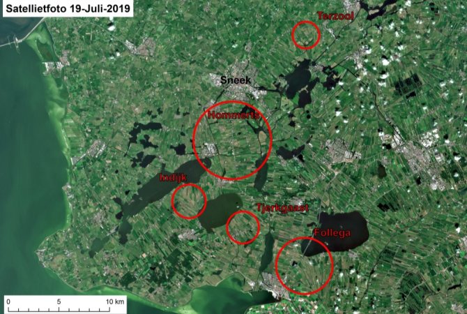 Op de satellietfoto van 19 juli is voor het eerst de muizenschade weer zichtbaar in de rood omcirkelde gebieden.