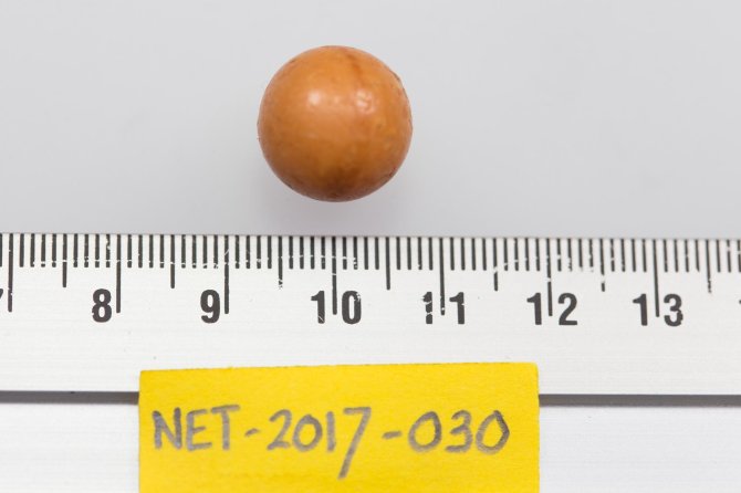 Plastic uit de maag van een in Nederland, in 2017 op het strand gevonden Noordse Stormvogel. De plastic bal, mogelijk uit een of andere roller, heeft een diameter van ongeveer 14mm en blokkeerde de spiermaag van deze vogel.