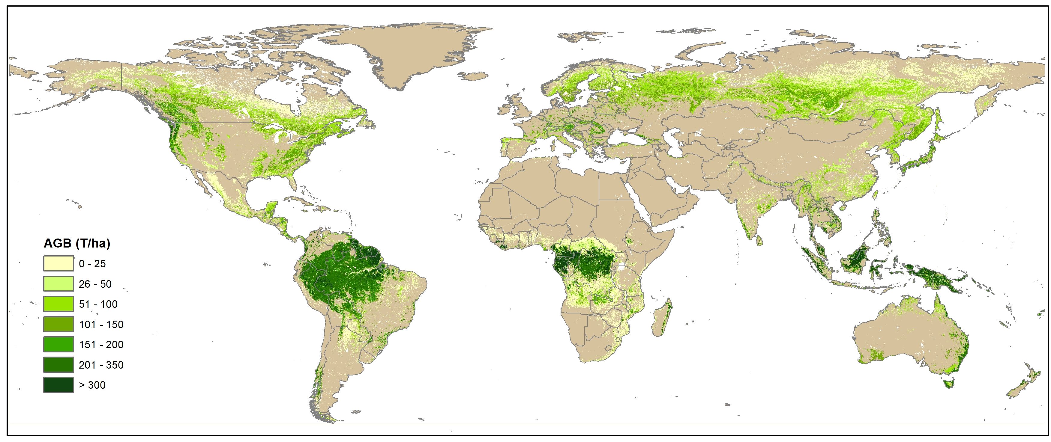 Forest Biomass - WUR