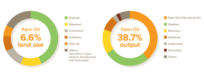 Verhouding landgebruik en productie per oliegewas.