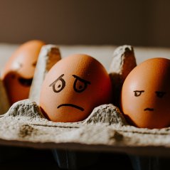 Your Natural Cycle - Chicken eggs with painted on faces - Photo: hello-i-m-nik- Unsplash