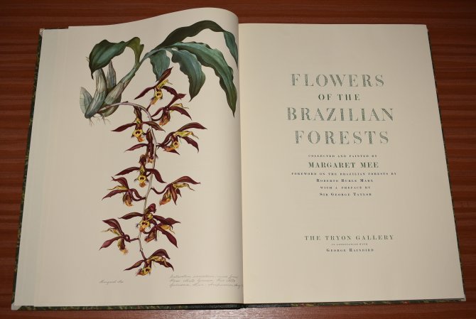 Flowers_Brazilian_Forests2.jpg