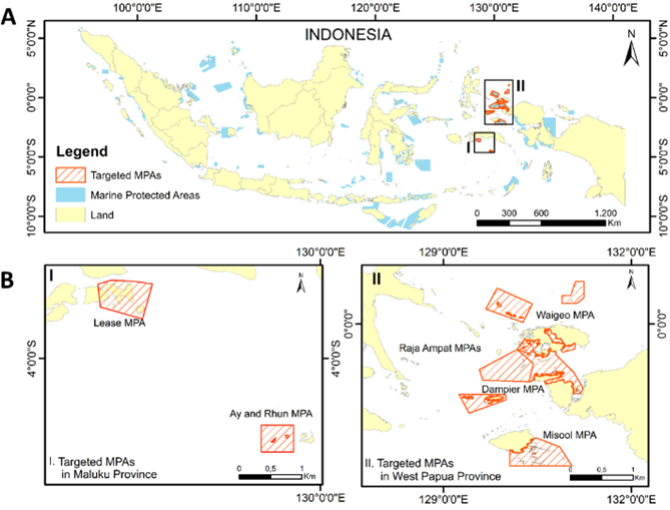 Figure 2. A. Marine protected areas (MPAs) across Indonesia with targeted MPAs pointed out; B. I. Targeted MPAs in Maluku Province covering Lease MPA and Ay-Rhun MPA (left), II. Targeted MPAs in West Papua Province covering Misool MPA (right). Note that each map has its bar.