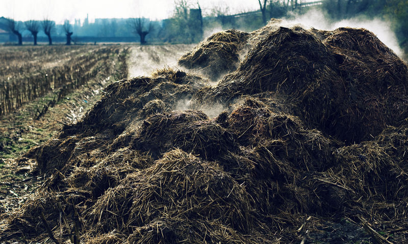 De ecologische gevolgen in Nederland van een kleinere veestapel zijn een lagere mestproductie, minder gebruik van fosfaat en andere mineralen