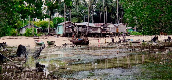 Coastal fishing village sheltered by mangrove forest, Kalimantan (Pauwelussen)