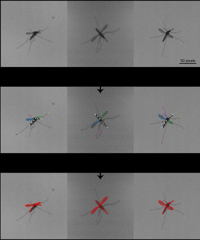 We leren het algoritme om bepaalde patronen te herkennen. De computer kan vervolgens de positie van de mug in 3D bepalen voor een willekeurige set video’s. 