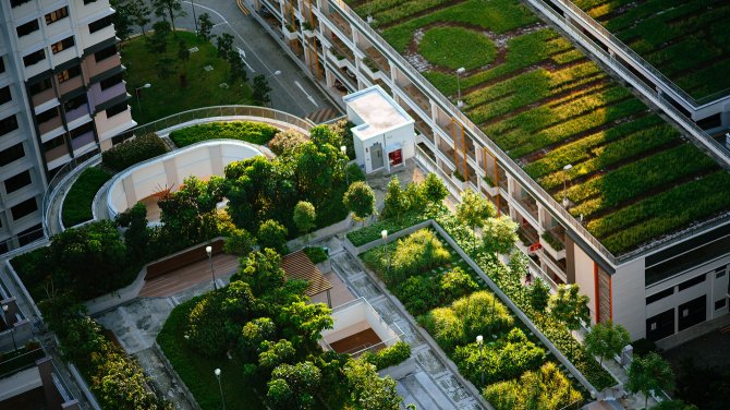 Green roofs for liveable cities.jpg