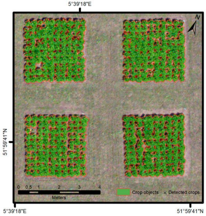 Location of individual endive crop identified using object-based image analysis (OBIA)