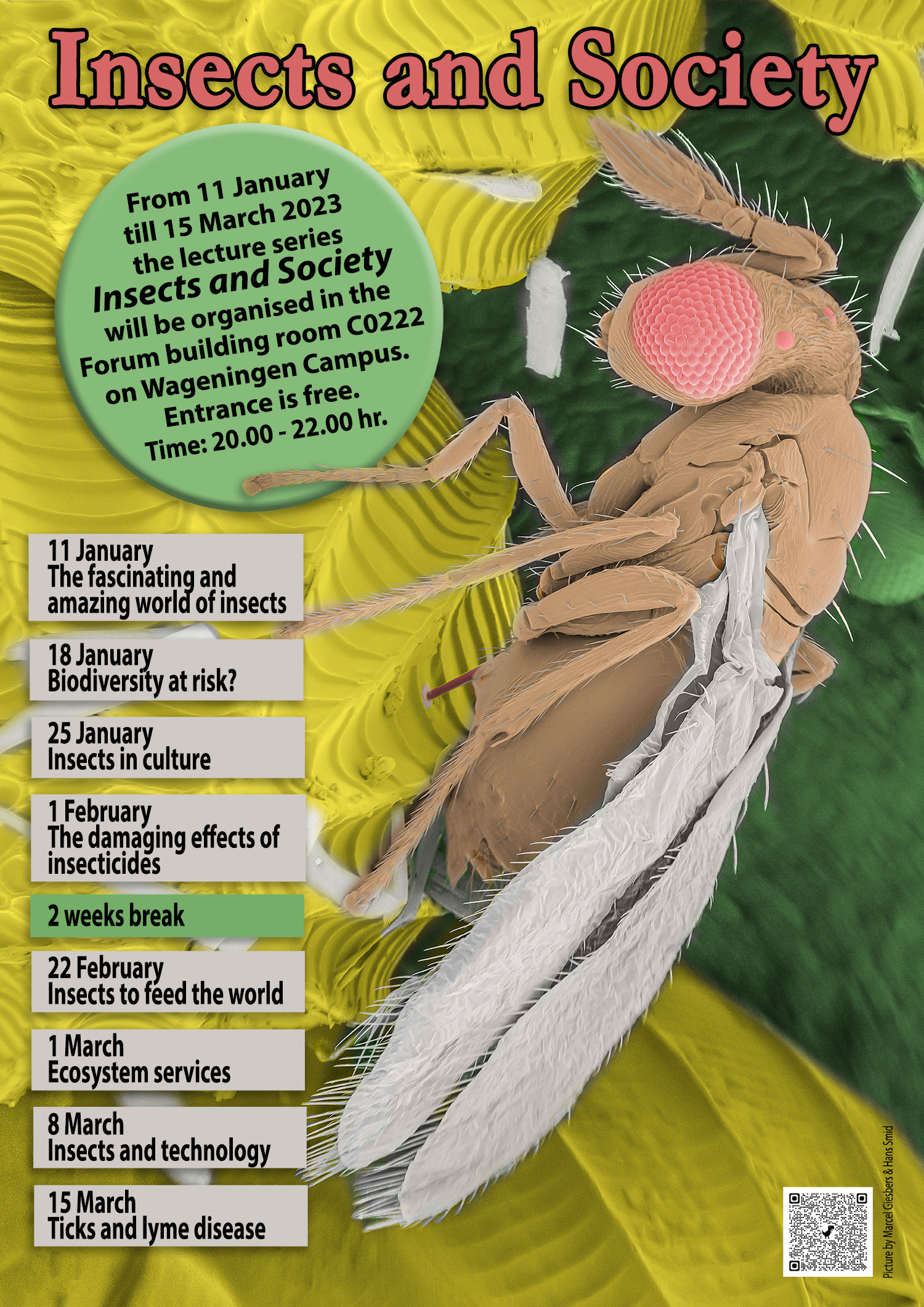 insects and societyposter 2023 web.jpg