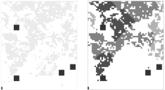 Figuur. De zwarte grote blokken geven de grids aan waar de soort oorspronkelijk aanwezig is. Links de startsituatie met in principe geschikt habitat in licht grijs. Rechts de eindsituatie na 120 jaar (modelrun). Hoe donkerder hoe langer de soort er al aanwezig is.