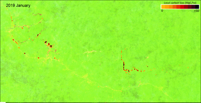 Klik op de afbeelding om de animatie te bekijken, die plaatselijk koolstofverlies in de Republiek Congo laat zien door goudwinning (west), de aanleg van wegen ten behoeve van kapactiviteiten en selectieve bomenkap (oost)