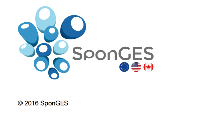 Logo Sponges project