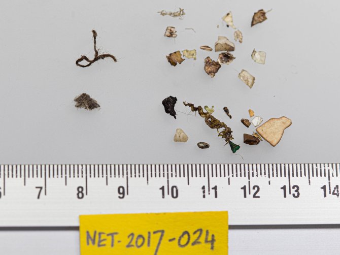 Threshold Value example: 90% of fulmars or more may have up to this quantity of plastic in the stomach (Fulmar NET-2017-024 had ingested 0.0954 gram plastic, below the 0.1 g limit)