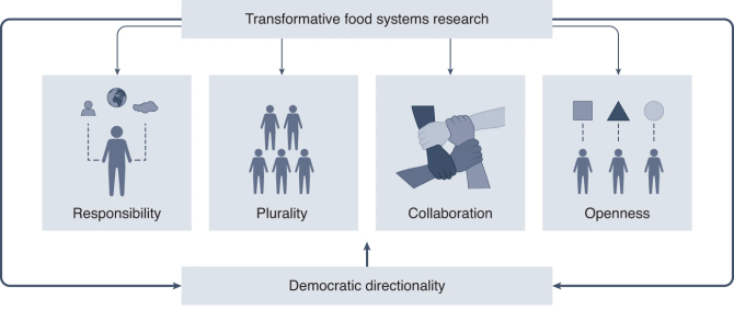 Transformations across food systems demand comprehensive democratic directionality, supported by research that is responsible, pluralistic, collaborative and open.