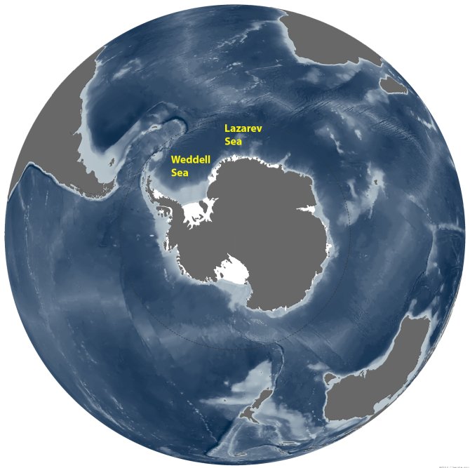 Kaart van Antarctica met de omringende Zuidelijke Oceaan waarin de Weddell en de Lazarev Zeeën liggen (kaart: NOAA climate.gov)