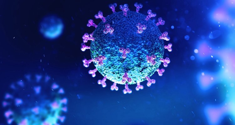 Antiviral testing CRO in vivo in vitro