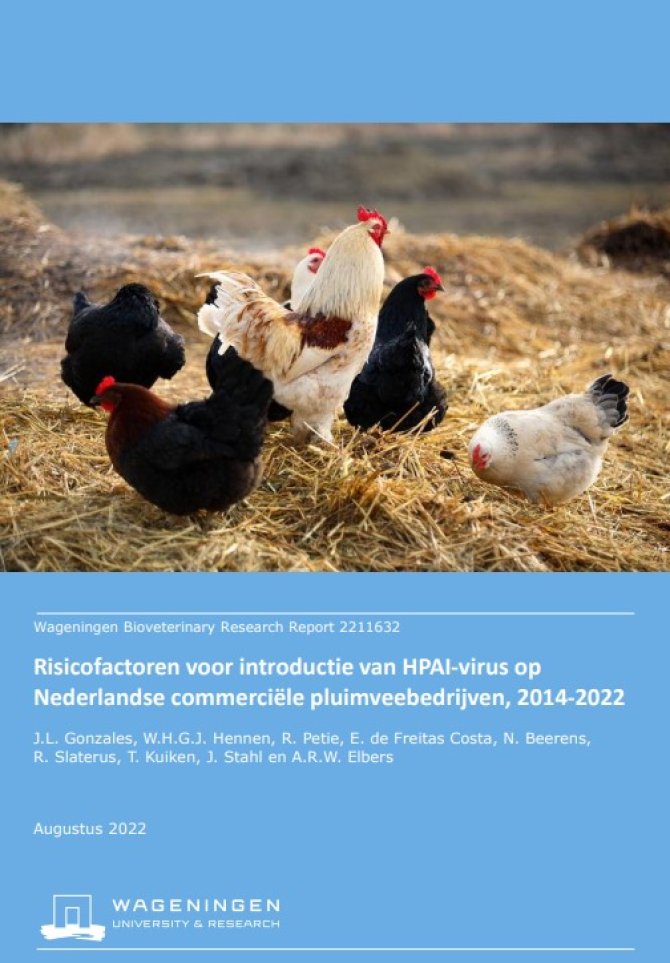 Rapport: risicofactoren voor introductie van HPAI-virus op  Nederlandse commerciële pluimveebedrijven, 2014-2022 