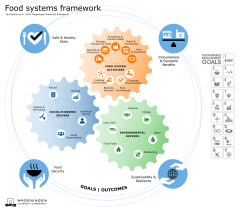 Infographic of the Food Systems Framework 