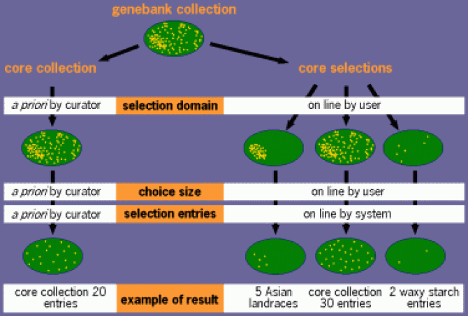 Core collection vs. core selection