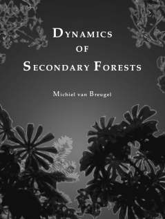 DynamicsSecondaryForests