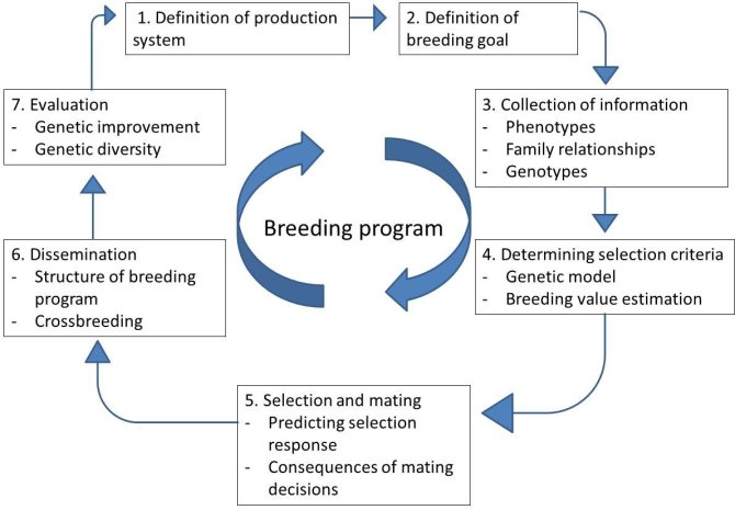Breeding program.jpg