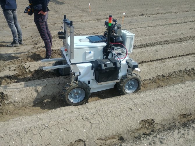 The autonomous weed robot hoeing between germinating carrots. The crop is not yet visible. The algorithm with which the robot’s cameras have been programmes recognises the tiny weed sprouts. The younger the weeds are when they are removed, the smaller the impact on the crop. 