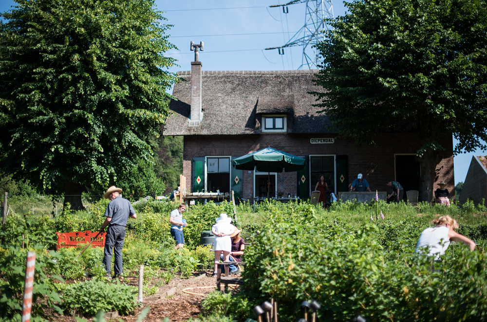 Hoeve Klein Mariëndaal, Arnhem. Foto: Roy Hendrikx