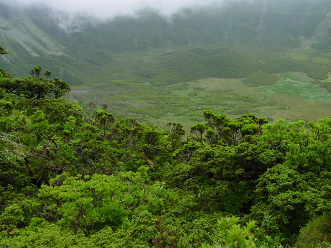 Caldeira e Capelinhos, Faial Island, Azores (PT) Natura 2000 site, Macaronesian Biogeographical Region