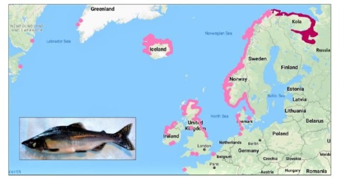 Een overzicht van vangsten in Europa (2017). Bron: NINA 