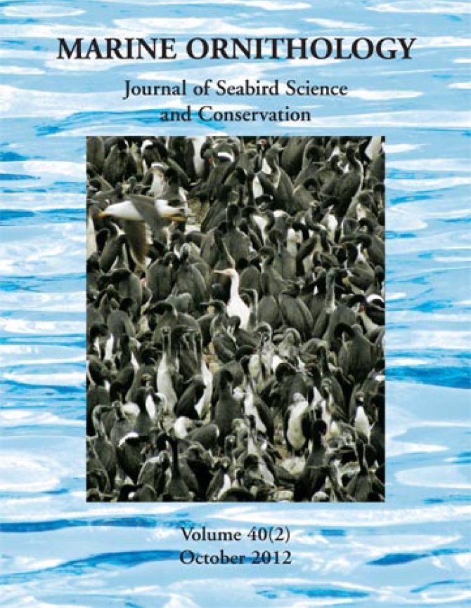 Cover Marine Ornithology