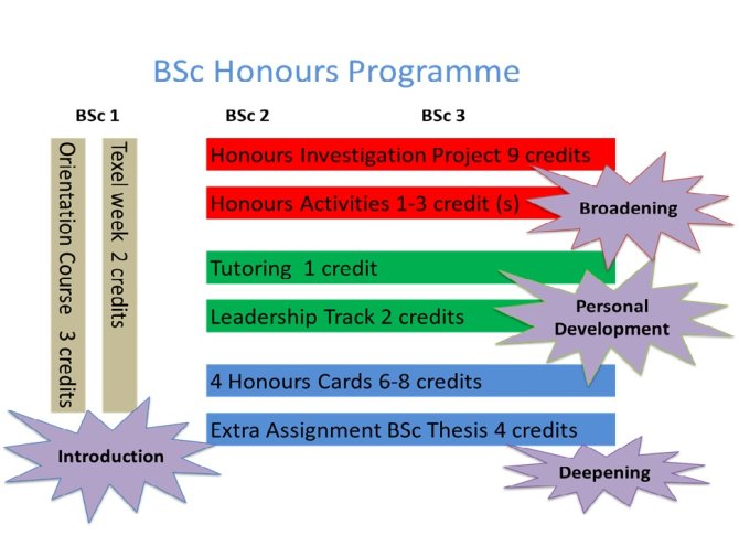 BSc Honour Programme
