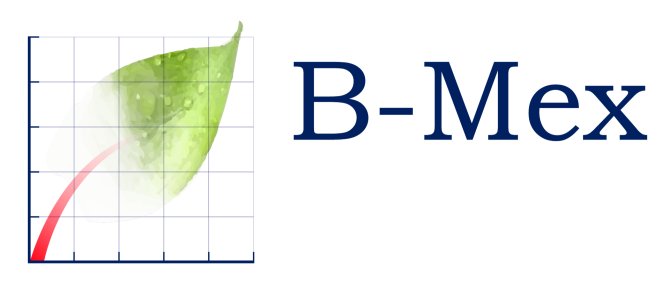 B-mex-logo.jpg