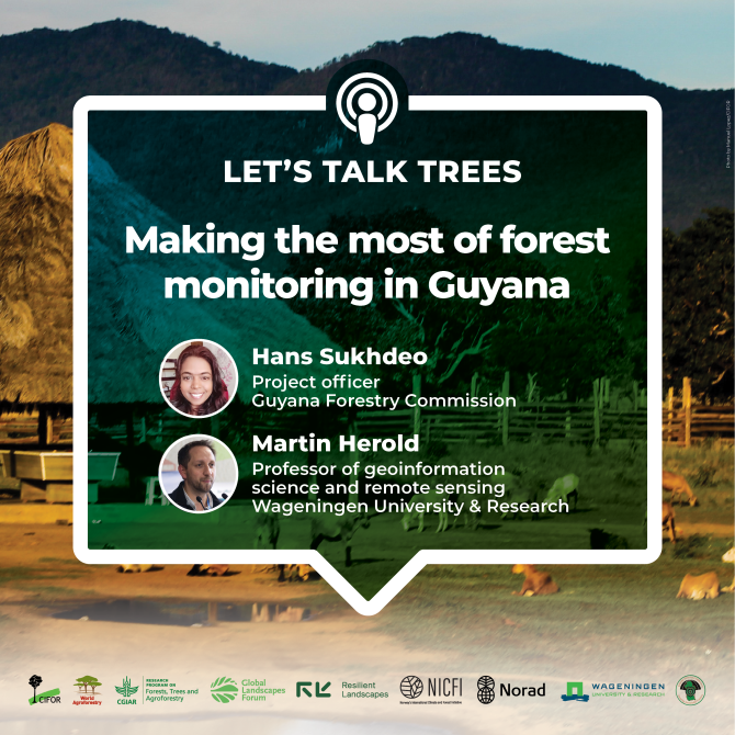 Podcast - Lets Talk Trees_Making the most of forest_v2.png