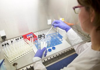 Laboratory CRO Contract Research Organization Bioveterinary