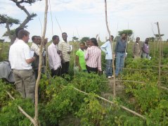 project farmers in Ethiopia