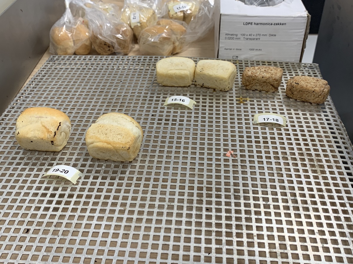 Minibroodjes, gebakken met graan uit de strokenteeltproeven